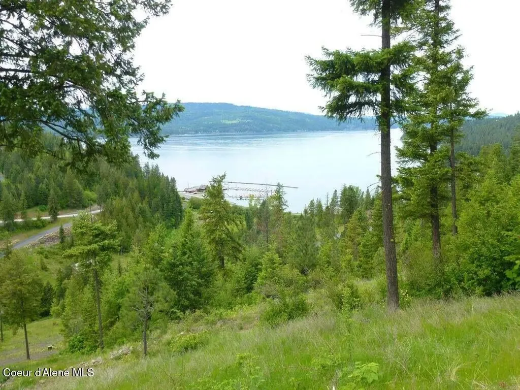 Lot 6 Flying Eagle Drive Harrison ID 83833