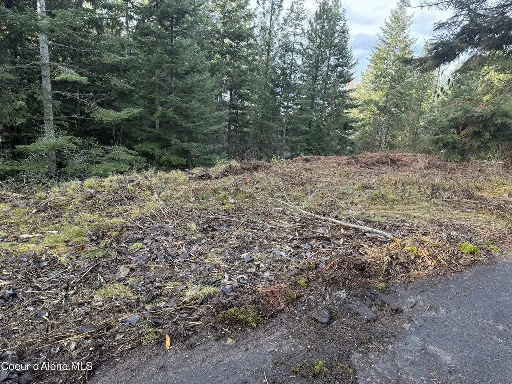 Lot 5 Flying Eagle Drive Harrison ID 83833