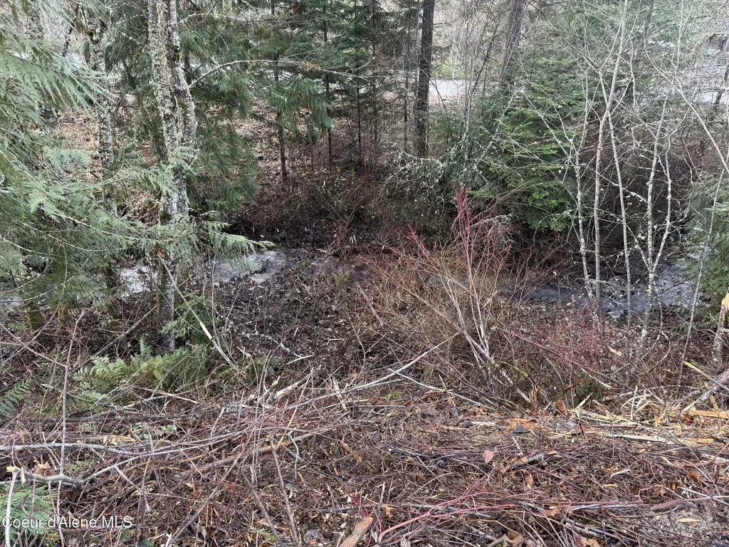 Lot 5 Flying Eagle Drive Harrison ID 83833