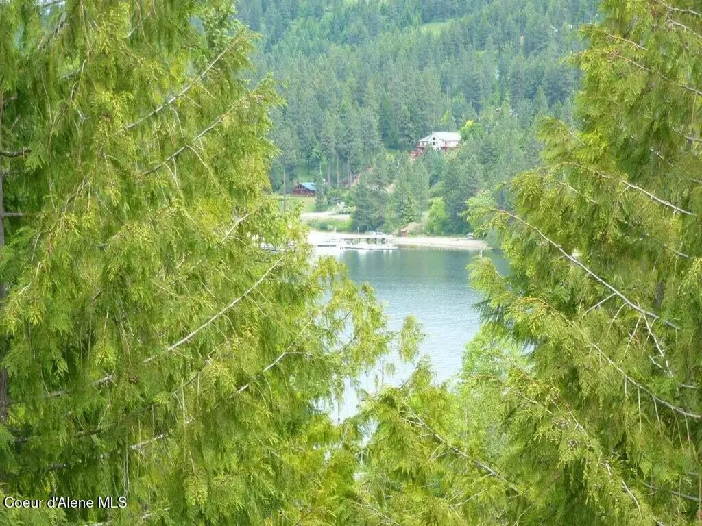 Lot 5 Flying Eagle Drive Harrison ID 83833