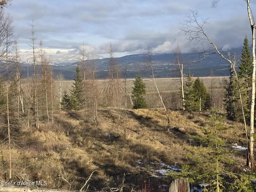 Nna West Side Road Parcel 3 Bonners Ferry ID 83805