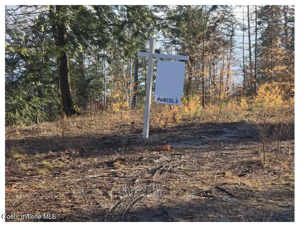 Nna West Side Road Parcel 3 Bonners Ferry ID 83805