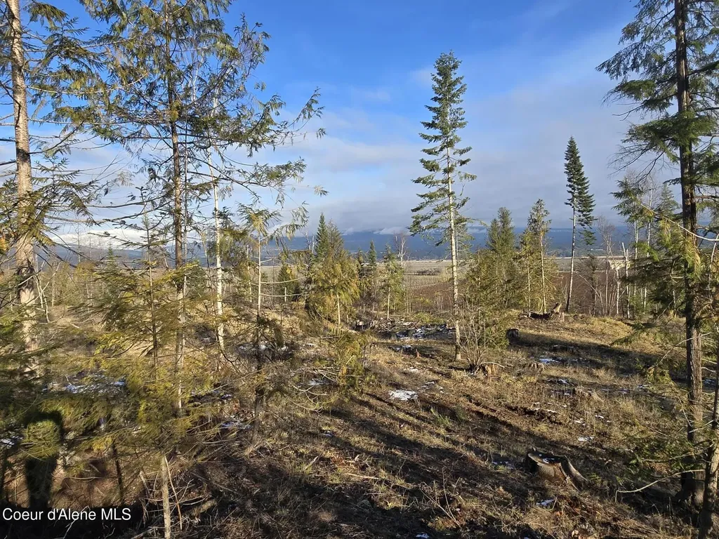 Nna West Side Road Parcel 3 Bonners Ferry ID 83805