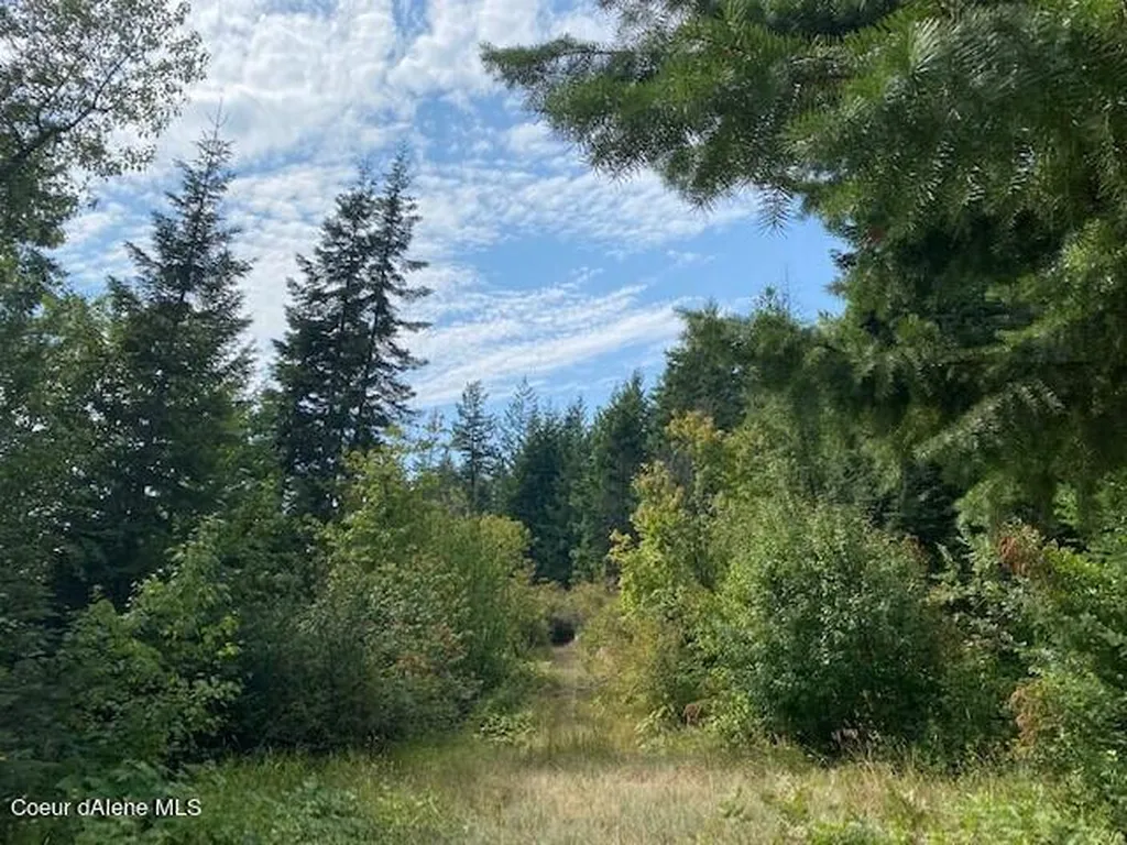 Lot M Highway 200 Hope ID 83836