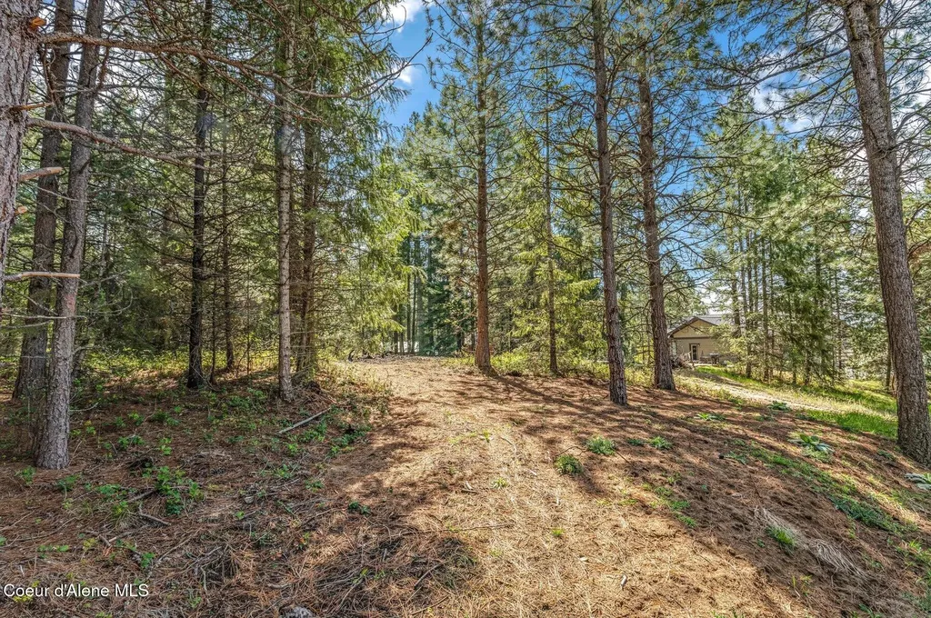 501 Swan Shores Drive Sagle ID 83860