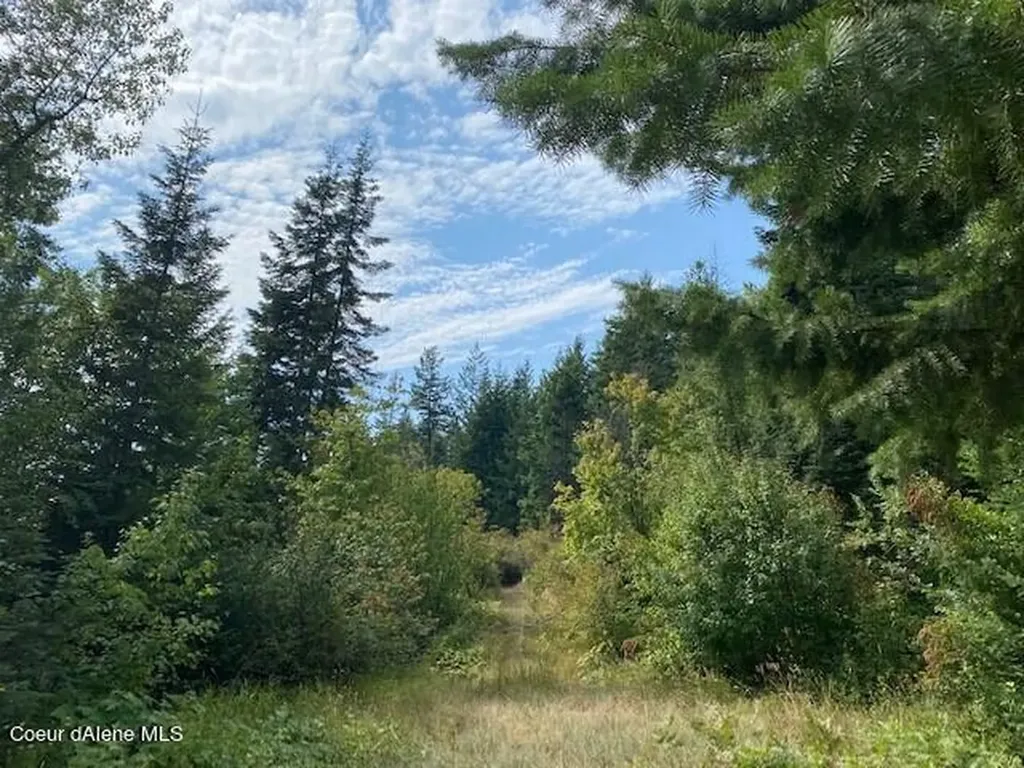 Lot B Highway 200 Hope ID 83836