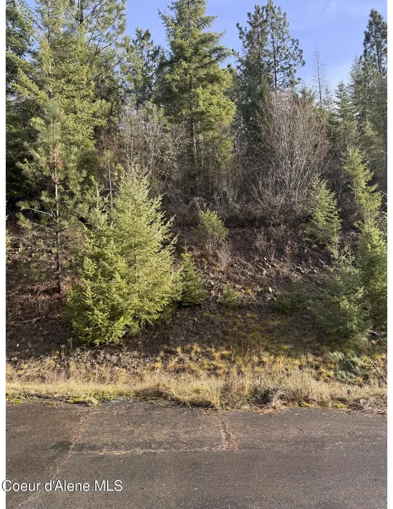 L15B1 Johnson Meadows Estates Harrison ID 83833