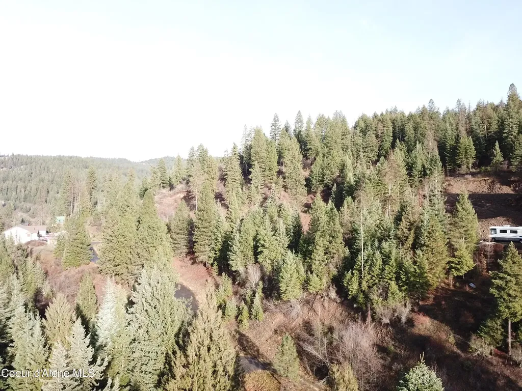 L15B1 Johnson Meadows Estates Harrison ID 83833