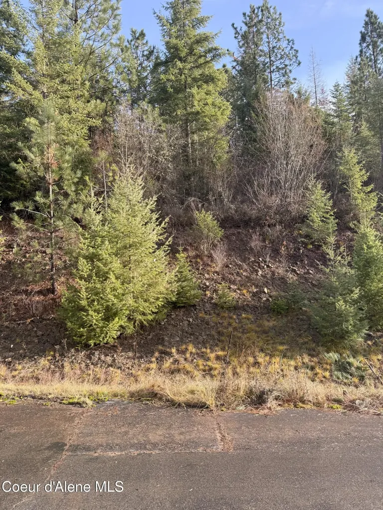 L15B1 Johnson Meadows Estates Harrison ID 83833