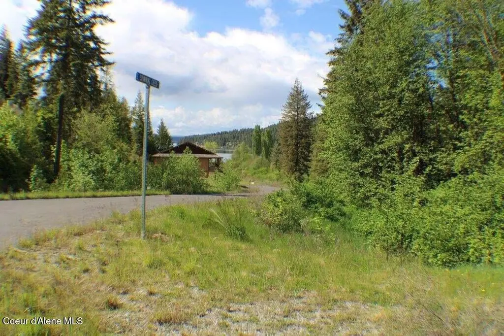 L15B1 Johnson Meadows Estates Harrison ID 83833