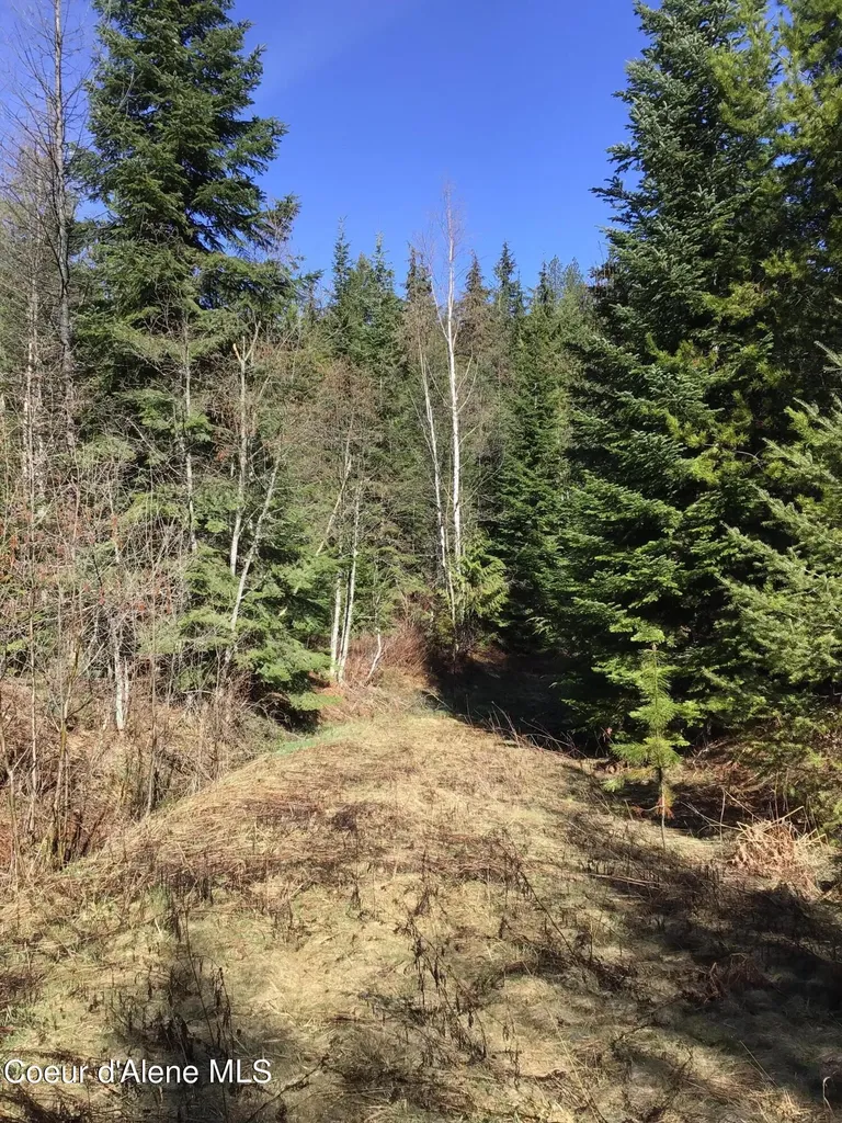 Nka Elmira Road Sandpoint ID 83864