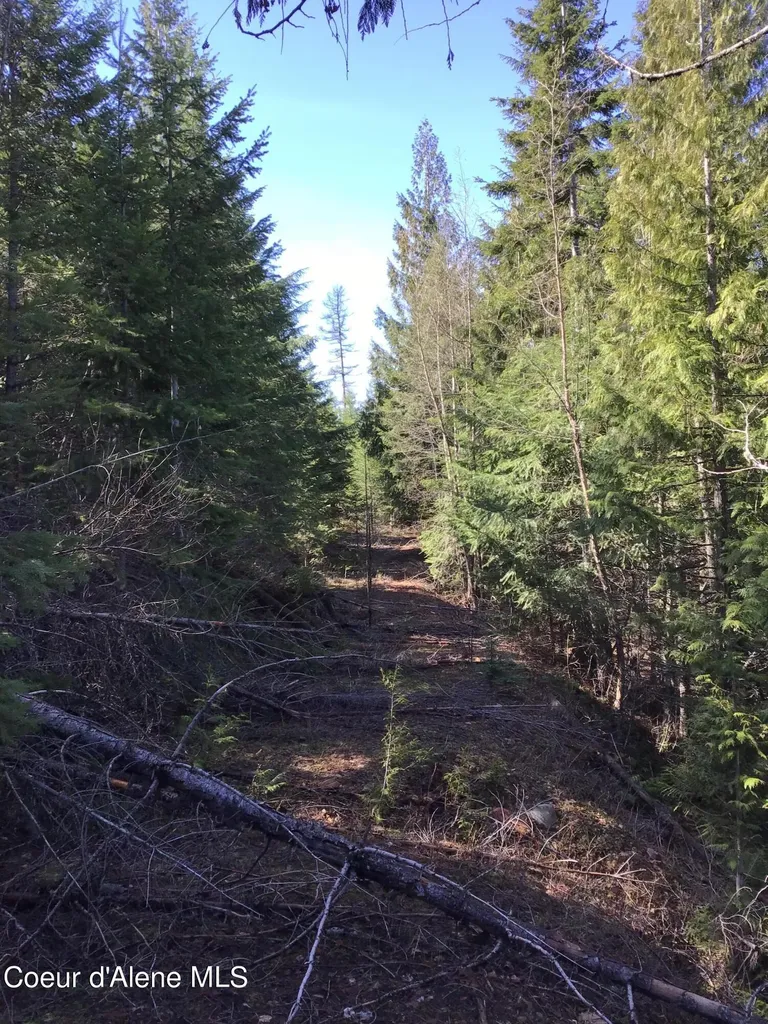 Nka Elmira Road Sandpoint ID 83864