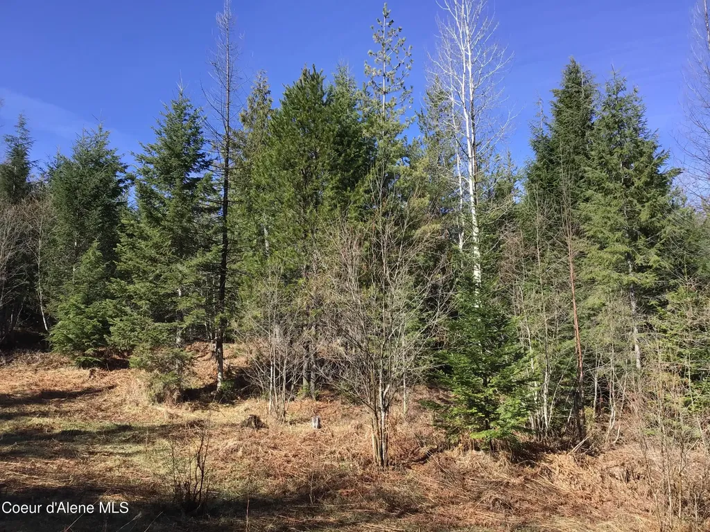 Nka Elmira Road Sandpoint ID 83864