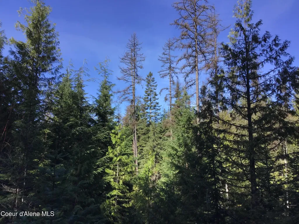 Nka Elmira Road Sandpoint ID 83864