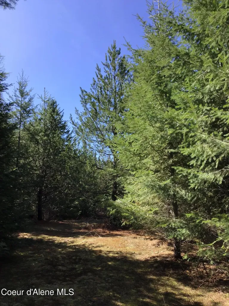 Nka Elmira Road Sandpoint ID 83864