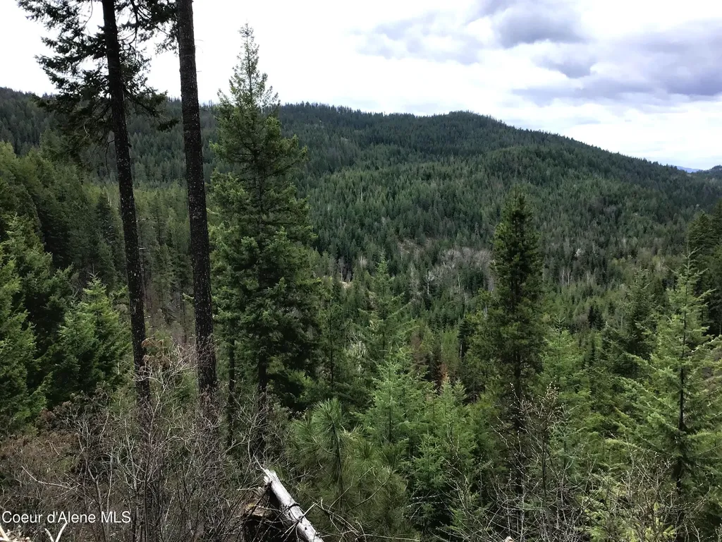 Nka Elmira Road Sandpoint ID 83864