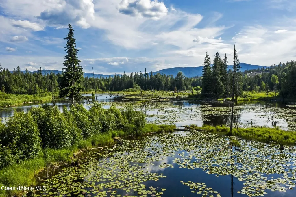 2755 Usfs Road 2295 Clark Fork ID 83811