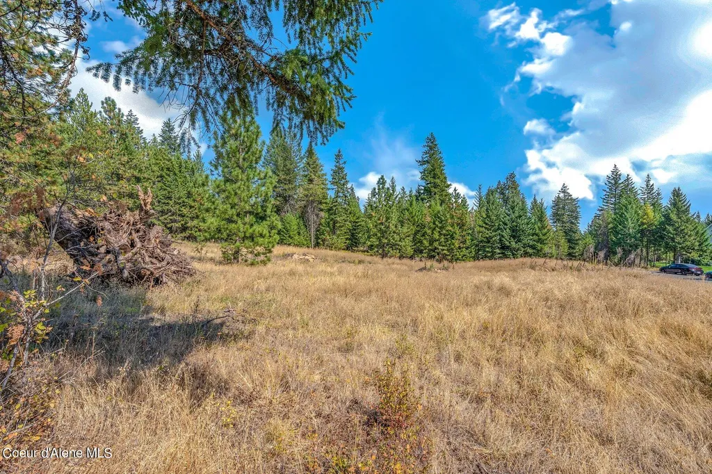 L6B10 N Walden Loop Rathdrum ID 83858