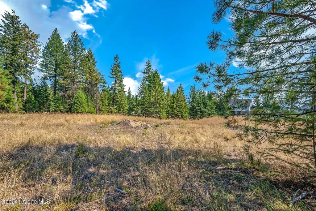 L6B10 N Walden Loop Rathdrum ID 83858