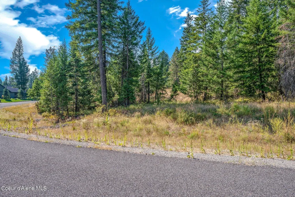 L6B10 N Walden Loop Rathdrum ID 83858