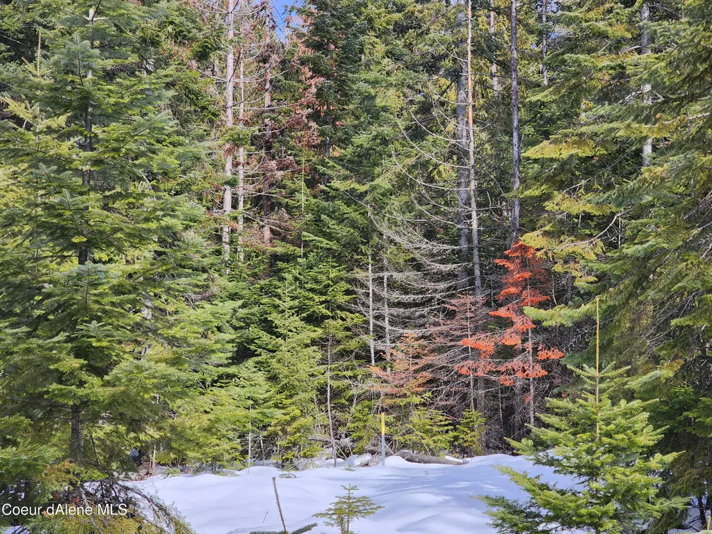 Nka Meadow Creek Road Bonners Ferry ID 83805