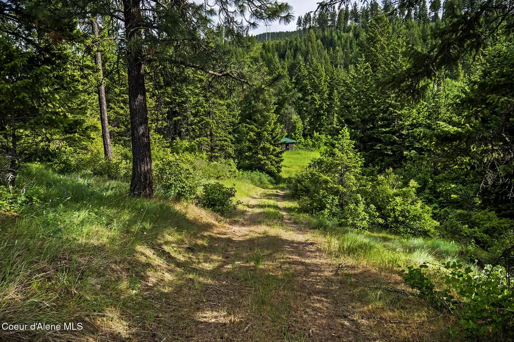 133 Two Tail Road Bonners Ferry ID 83805