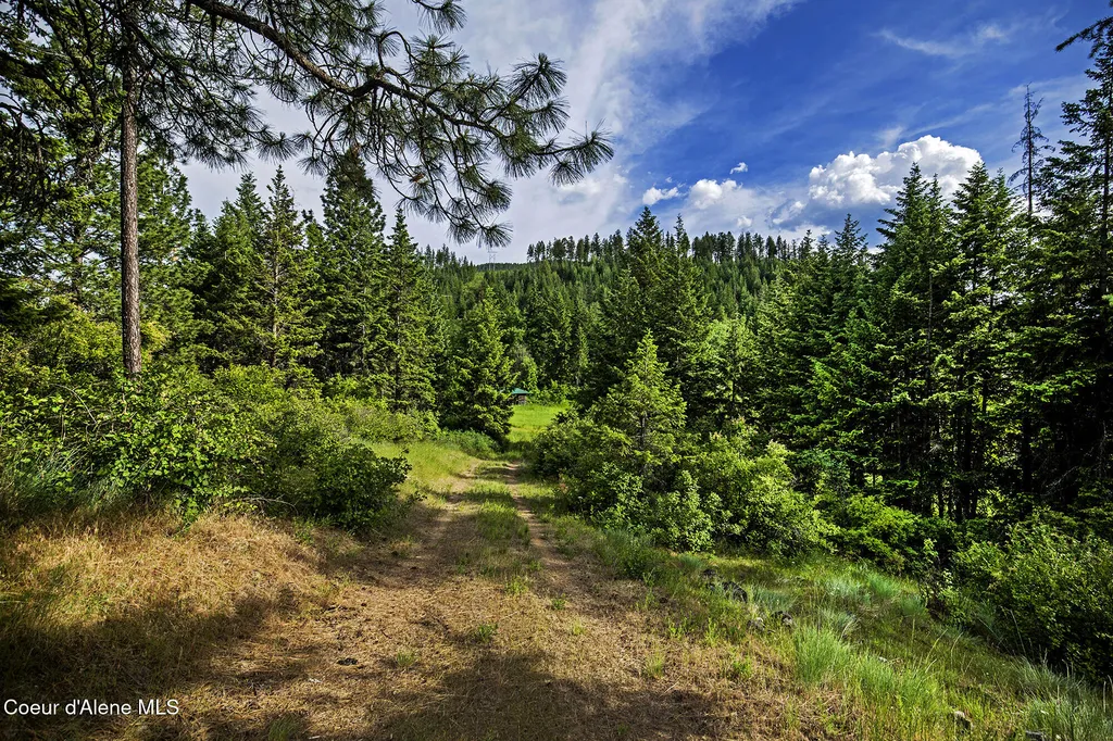 133 Two Tail Road Bonners Ferry ID 83805