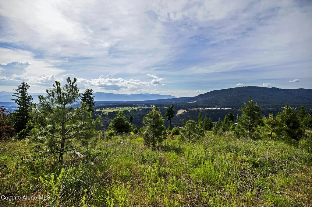 133 Two Tail Road Bonners Ferry ID 83805