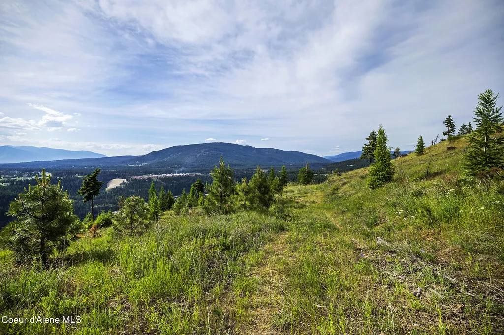133 Two Tail Road Bonners Ferry ID 83805