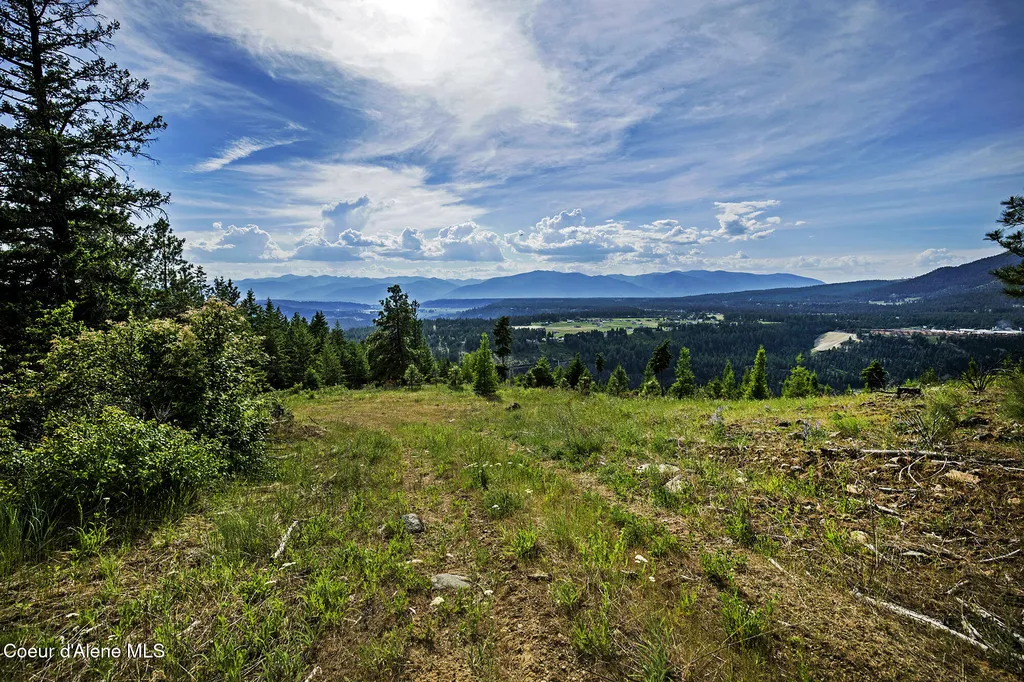 133 Two Tail Road Bonners Ferry ID 83805