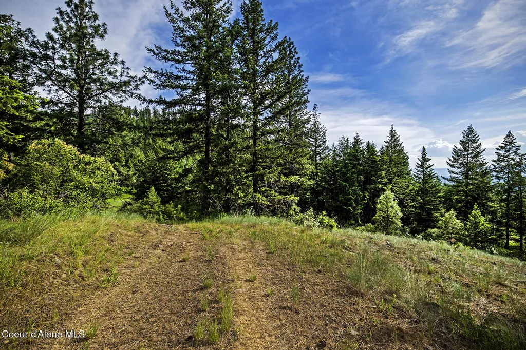 133 Two Tail Road Bonners Ferry ID 83805