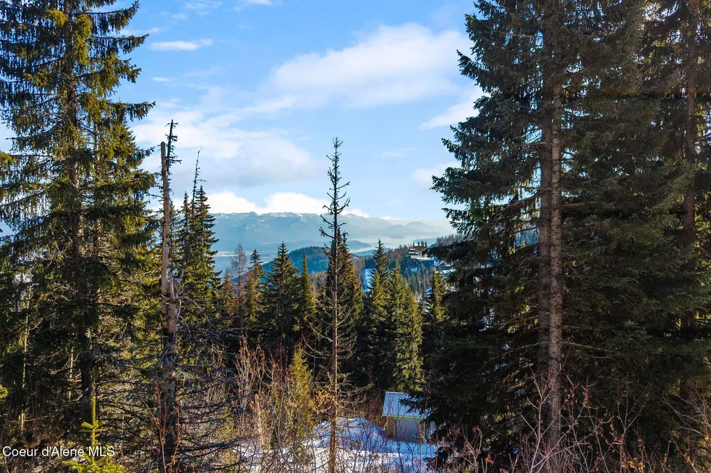 Nna Mogul Hill Road Sandpoint ID 83864