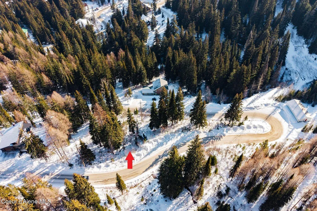 Nna Mogul Hill Road Sandpoint ID 83864