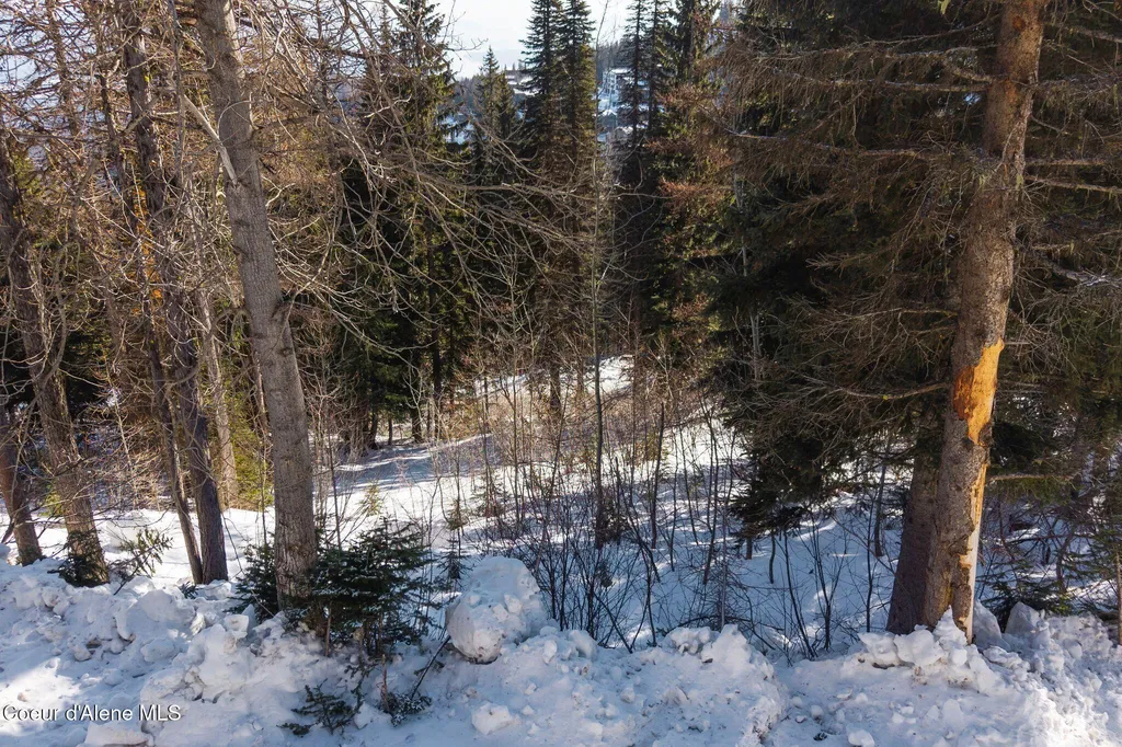 Nna Mogul Hill Road Sandpoint ID 83864