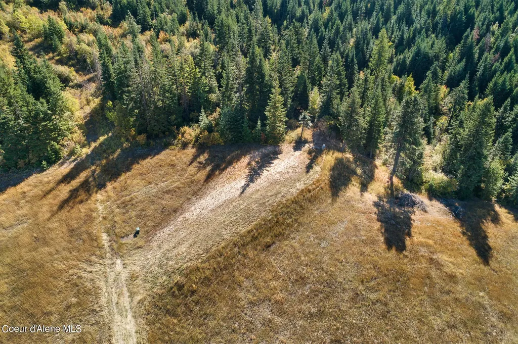0 Thimbleberry Lane Plummer ID 83851