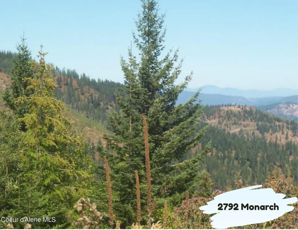 2792 Monarch Road St. Maries ID 83861