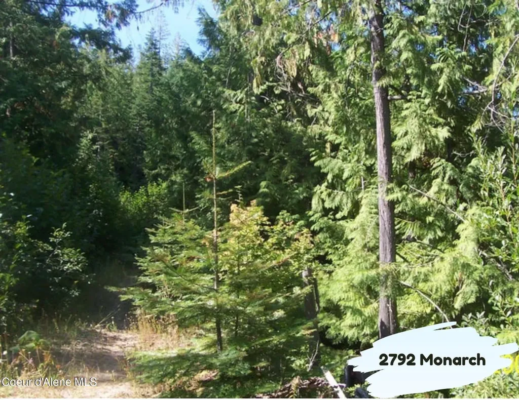 2792 Monarch Road St. Maries ID 83861