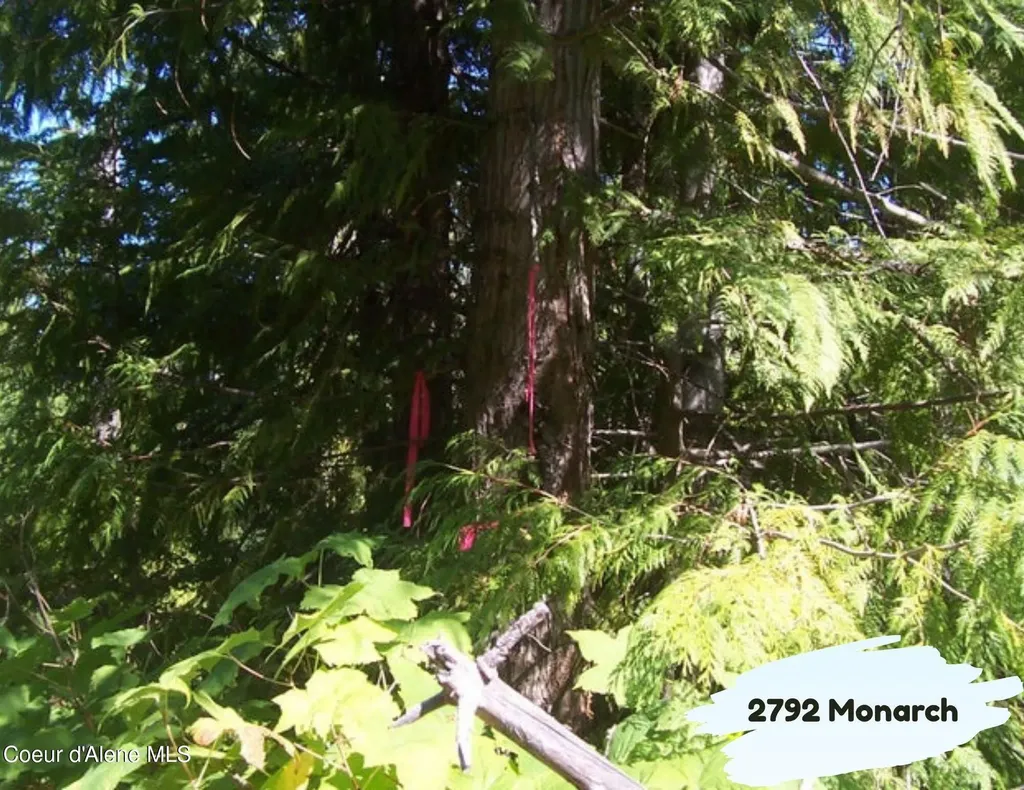 2792 Monarch Road St. Maries ID 83861