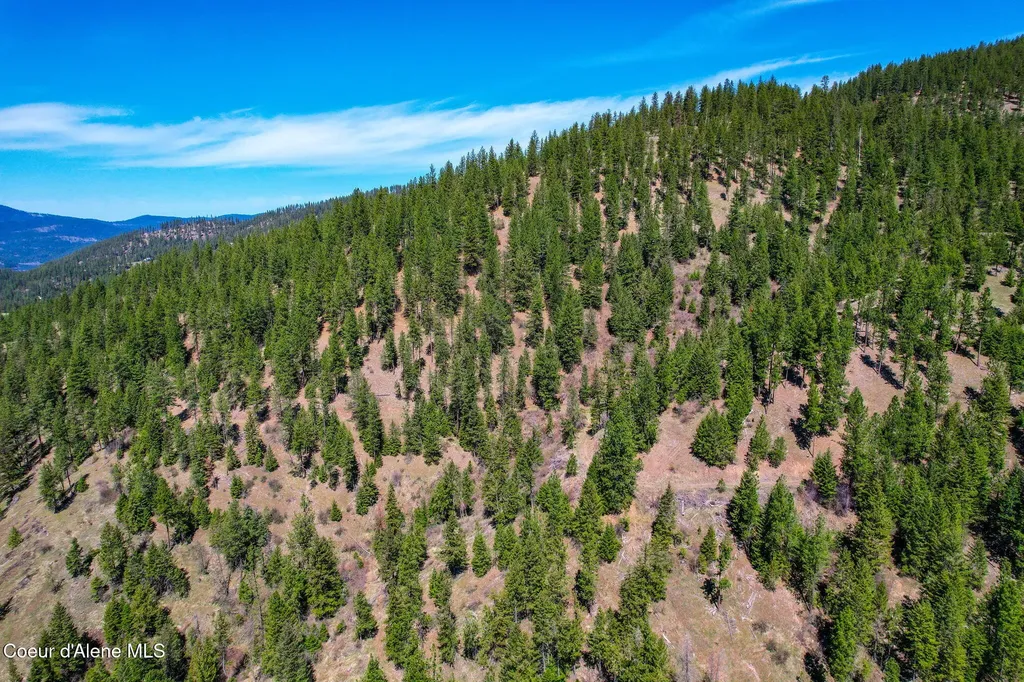 Nna Canary Creek Road Cataldo ID 83810