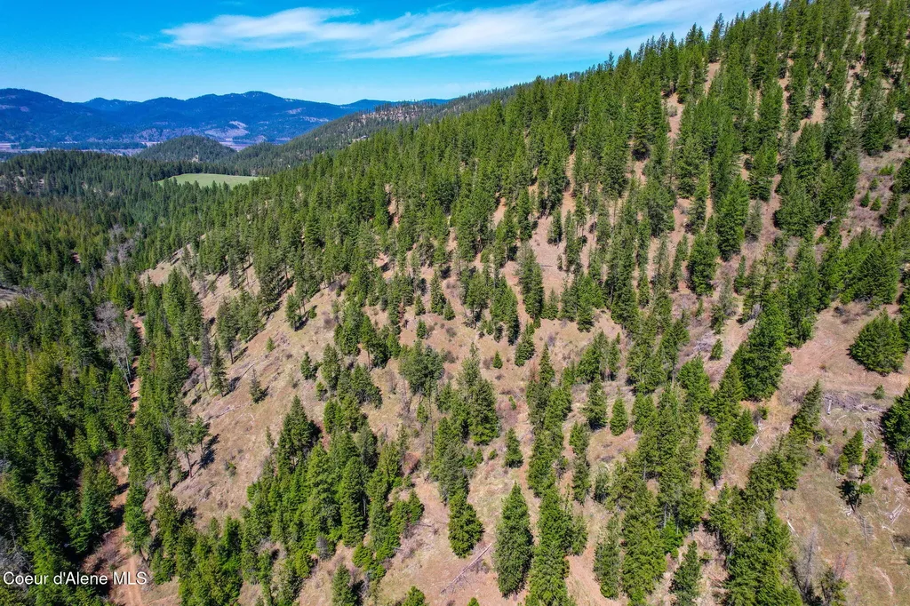 Nna Canary Creek Road Cataldo ID 83810