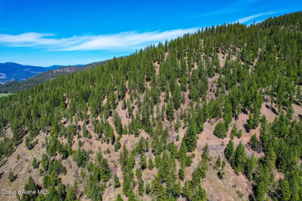 Nna Canary Creek Road Cataldo ID 83810