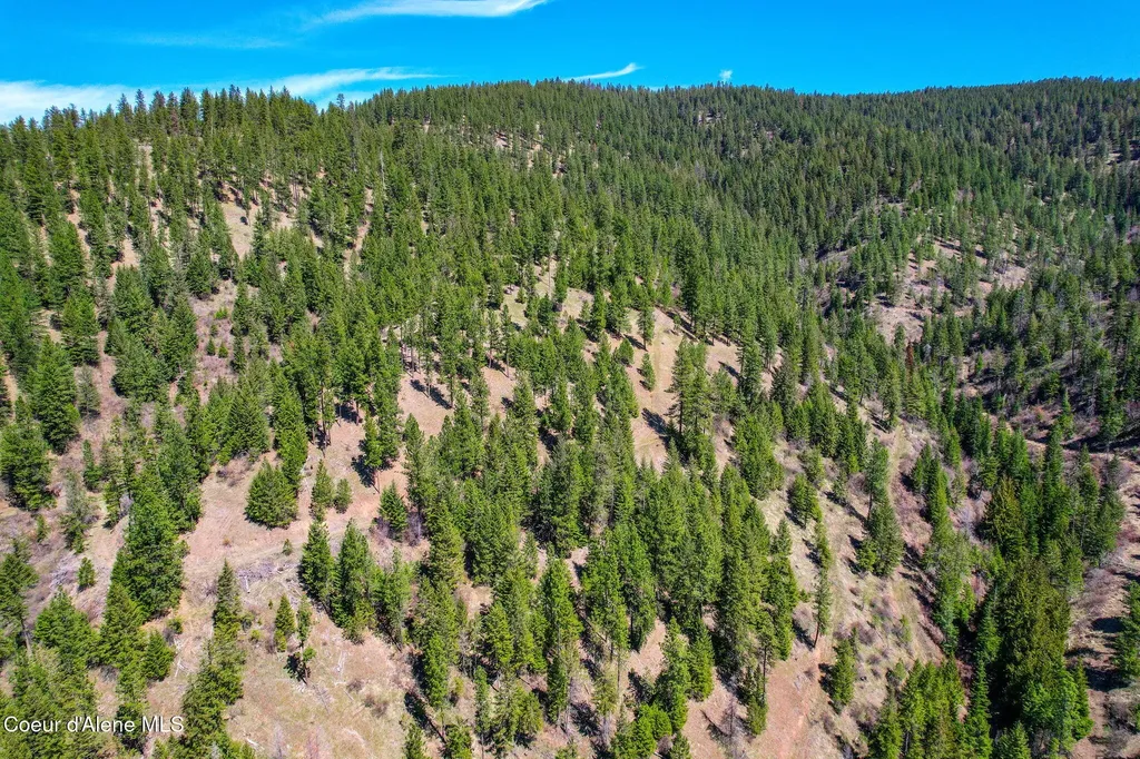 Nna Canary Creek Road Cataldo ID 83810