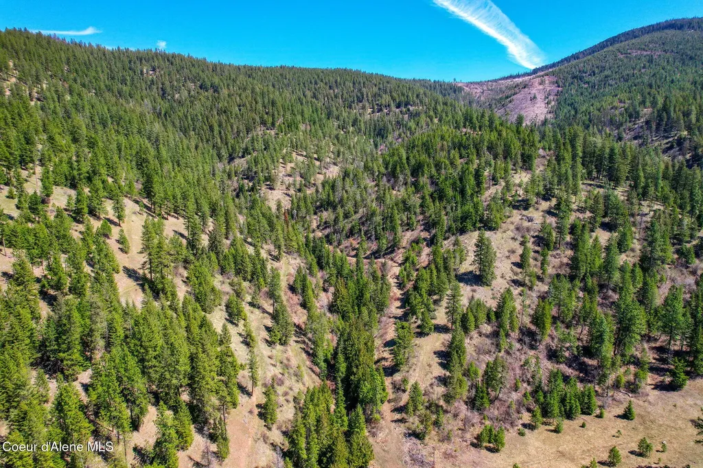 Nna Canary Creek Road Cataldo ID 83810