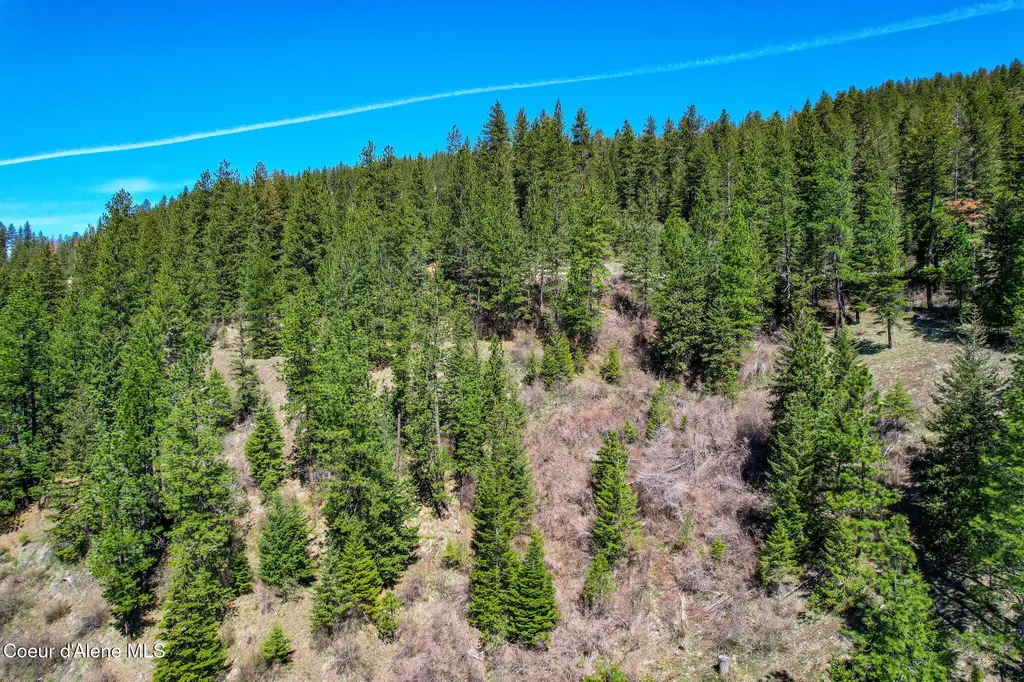 Nna Canary Creek Road Cataldo ID 83810