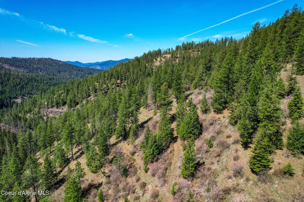 Nna Canary Creek Road Cataldo ID 83810