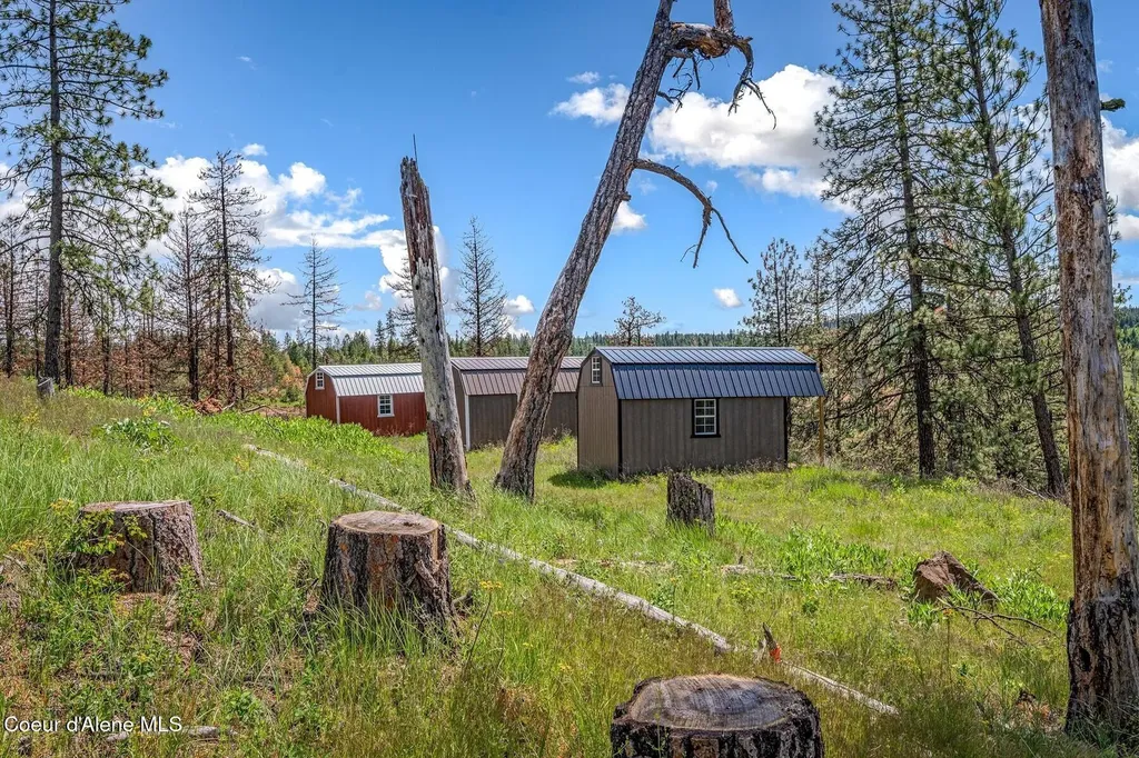 17 Acres Highway 3 St. Maries ID 83861
