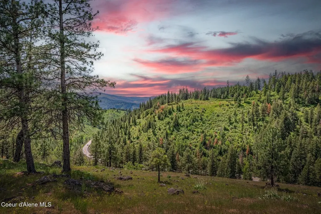 17 Acres Highway 3 St. Maries ID 83861