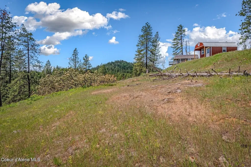 17 Acres Highway 3 St. Maries ID 83861
