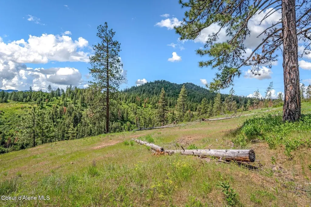 17 Acres Highway 3 St. Maries ID 83861
