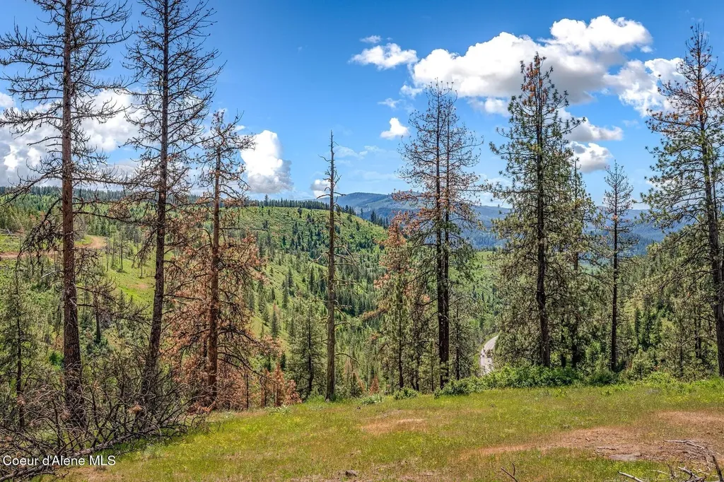 17 Acres Highway 3 St. Maries ID 83861